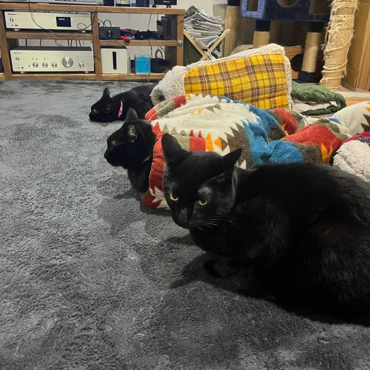 E2021ab5 c0d1 48a9 a539 46c4c78762f5 1675765741282