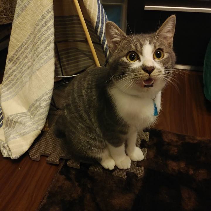 E2021b53 d58c 4cd6 b5ff 2530d05156c8 1572184865242