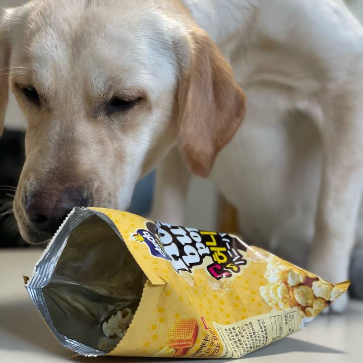 E2021be5 62eb 404f a53d a2a16f28e572 1649668593190