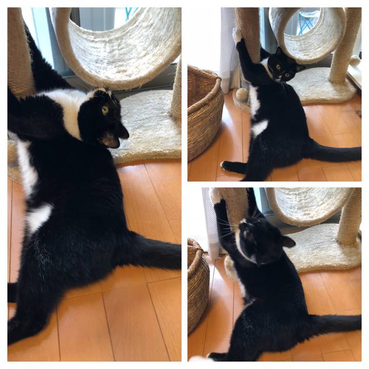 E2023d28 0a49 472a a83d cc6f721326d3 1529878475356