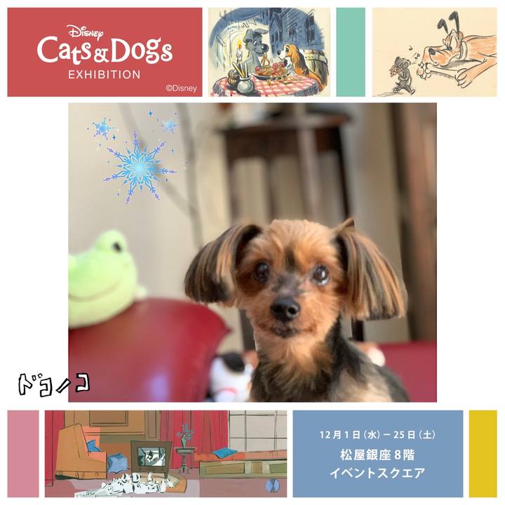 E2024fa6 1491 4545 af7d 0fd43ff29f1a 1638333155761