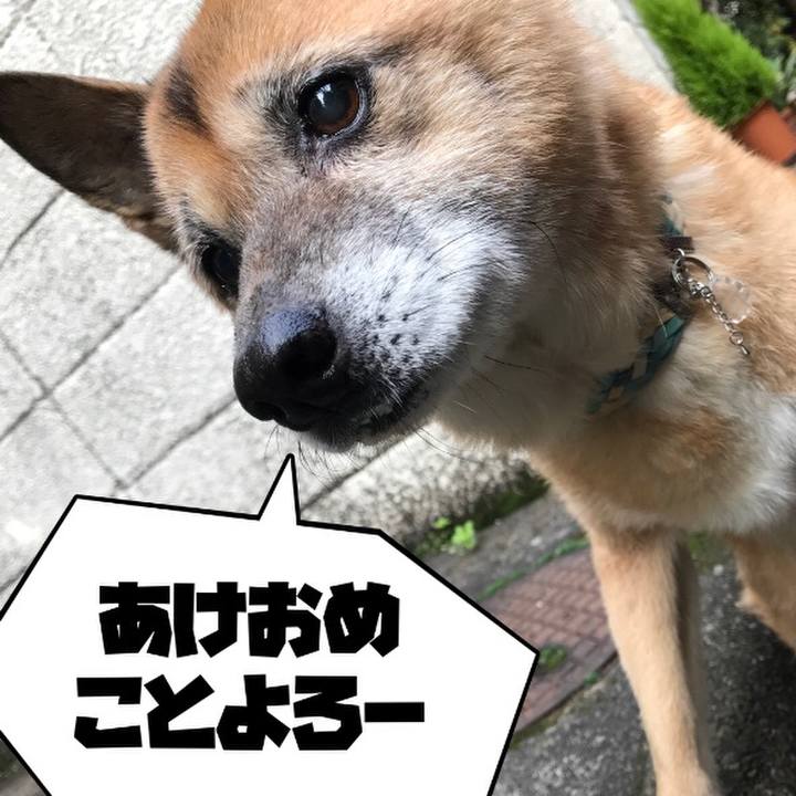 E20253d3 1370 4679 9623 477f07ac5885 1546296064338