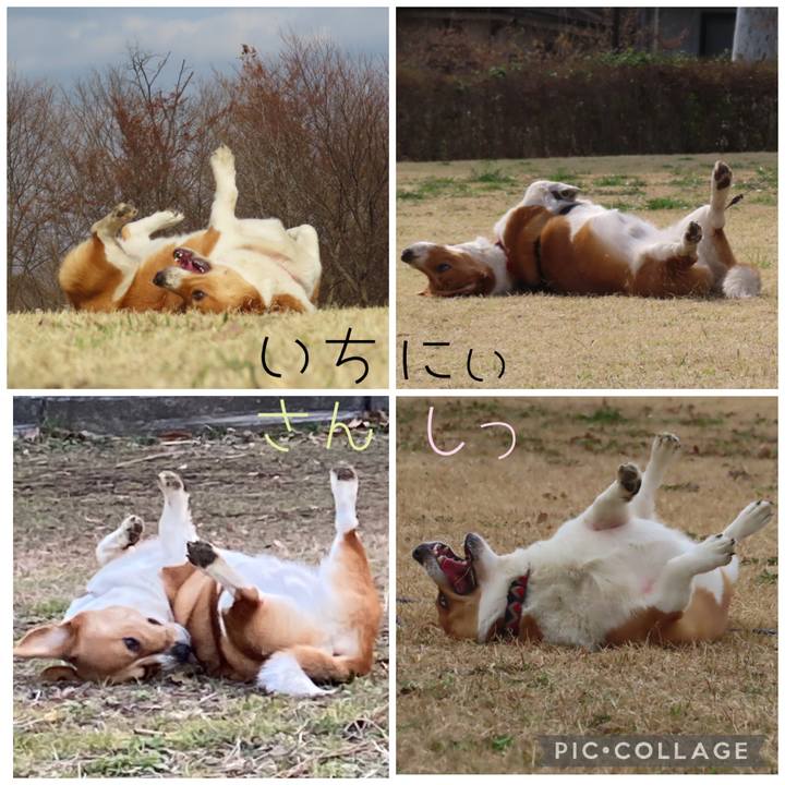 E20287fb 41b0 4a52 a33c 4db58ecb9e52 1679102159001