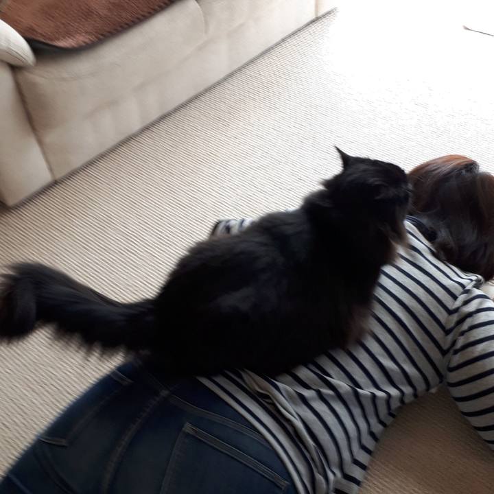 E202a343 62de 4703 9781 1c516816c9fe 1522719023831