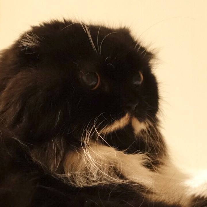 E202d642 cfa1 4c29 8e6b 9d670a513277 1535189980112