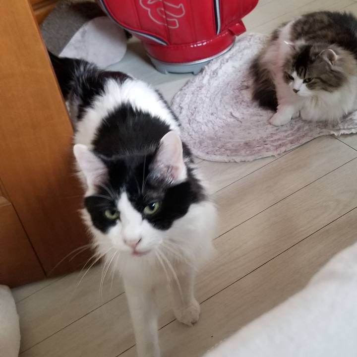 E202ebcf 1c65 46b5 9238 bedb7d8d8baa 1558302525961