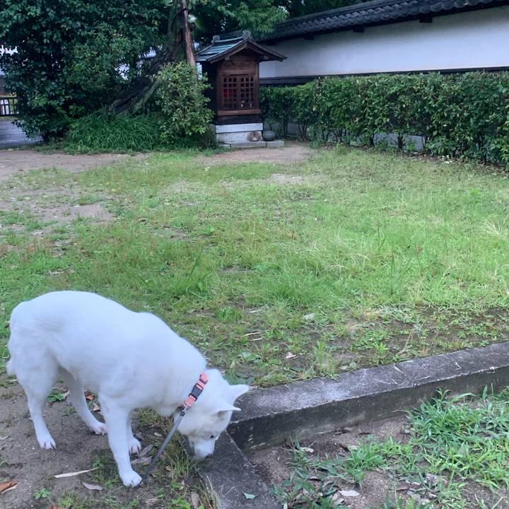 E202f948 a0e3 4724 9c6f e3ef7a297ea3 1561124683458