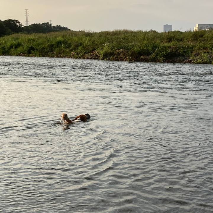 E20344f8 d805 47ca bc22 573551ea740d 1660612261683