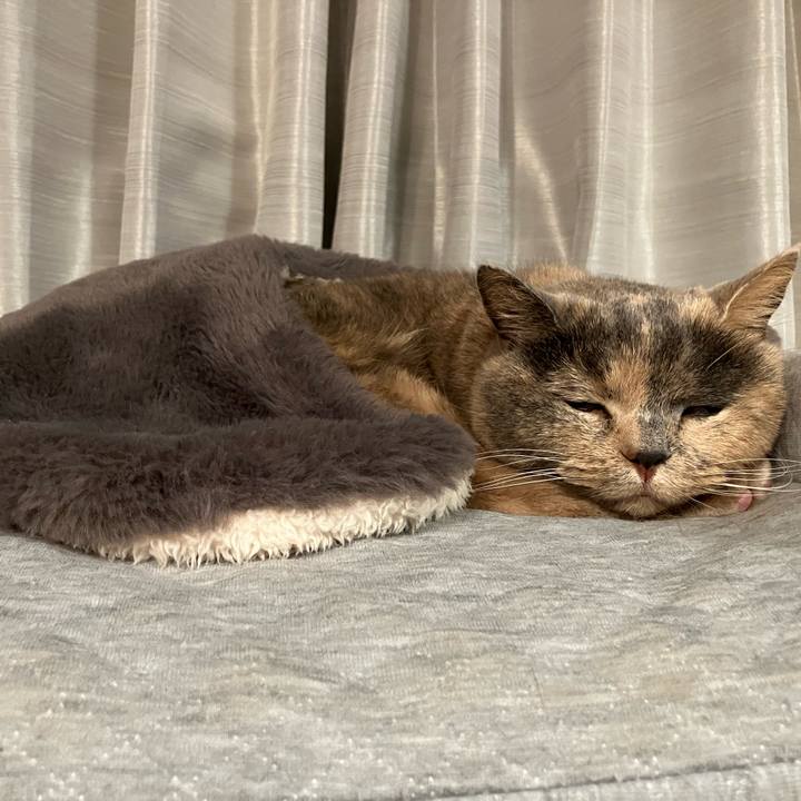 E203477e d024 4c0e af71 d3c7d5aac844 1767399046257