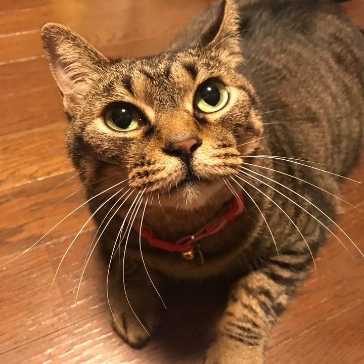 E20368dd 188e 42b2 b95e e69624c60bee 1596884025797