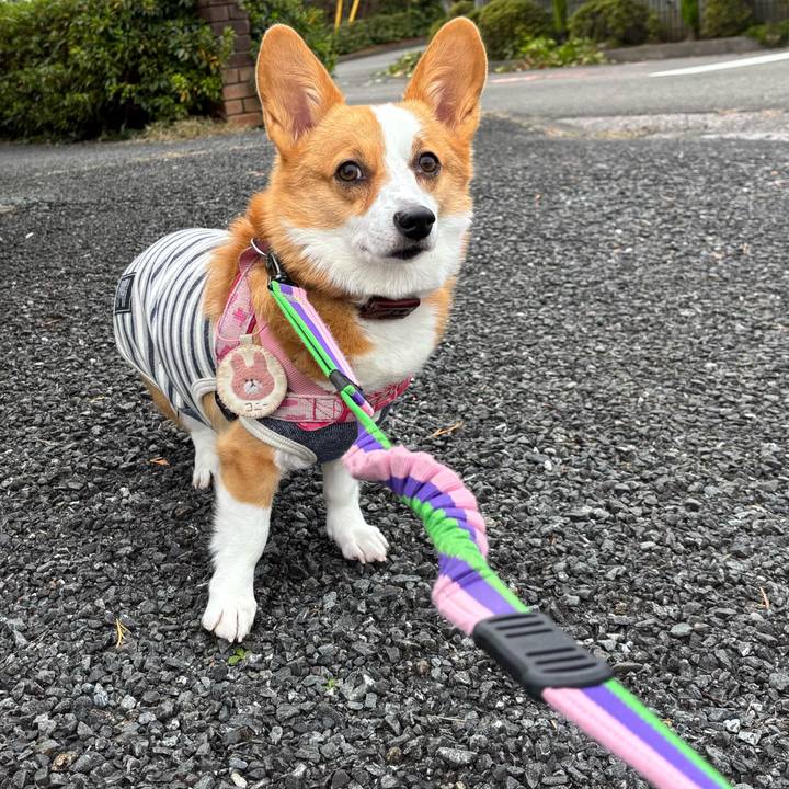 E203810e dab5 4e45 b552 cebdd58c9ccb 1762312987796