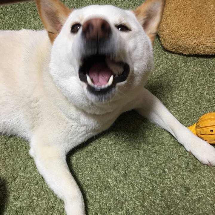 E2039d15 ff29 445e a517 af21feb7ab20 1559824837400