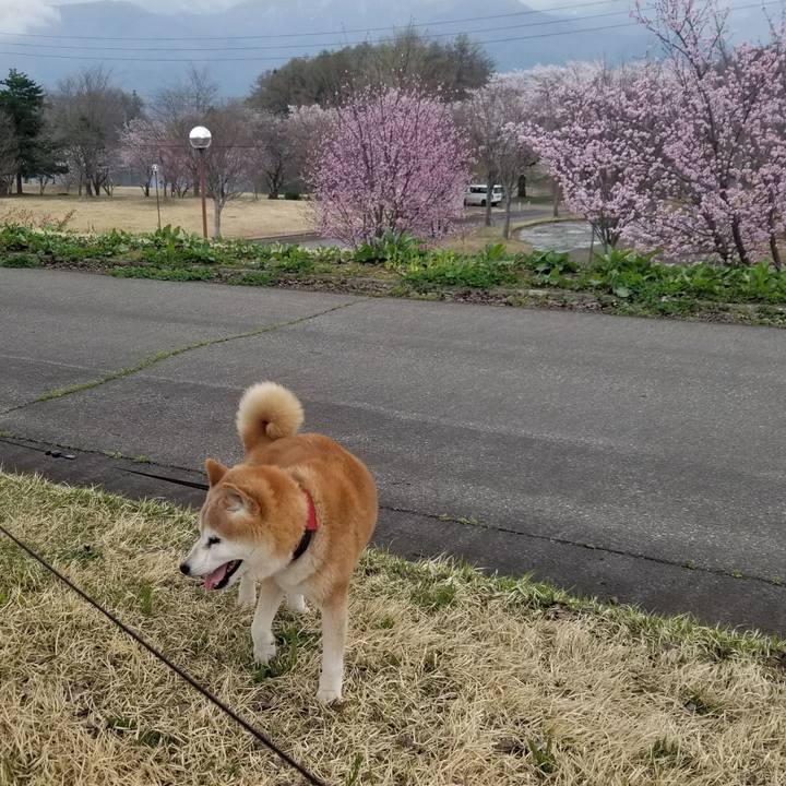 E203ecef aa6d 49fc 85b7 ec177a26e882 1745138207674