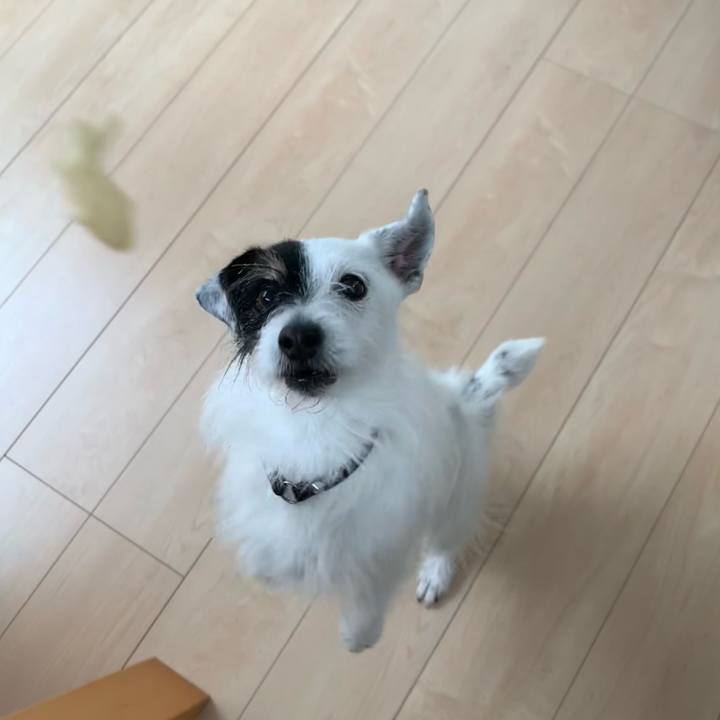 E20405ca 0262 4e36 8f28 a63d5009b64d 1742088438057