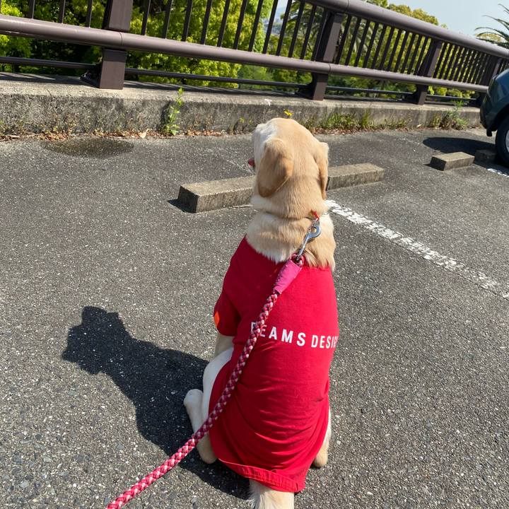 E20425a1 45aa 4ced b43d 949729eb16f3 1619057499636