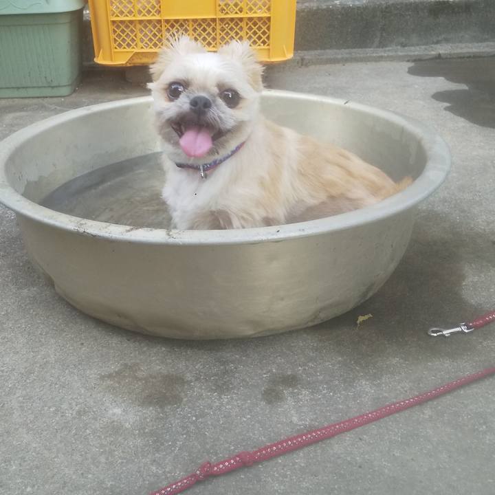 E20443b1 5262 4e70 a547 1015757b2762 1753877613133