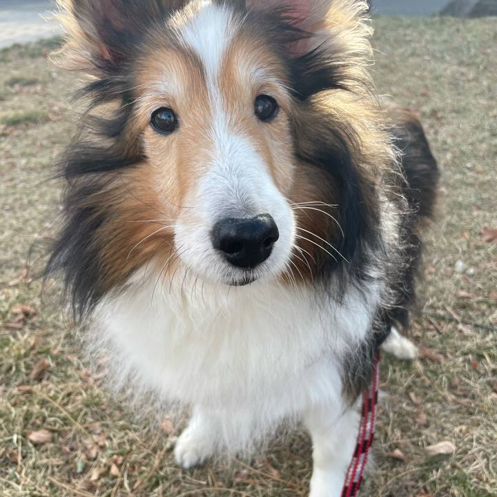 E204472d 73b0 4e07 af03 710cc106019c 1607838656215