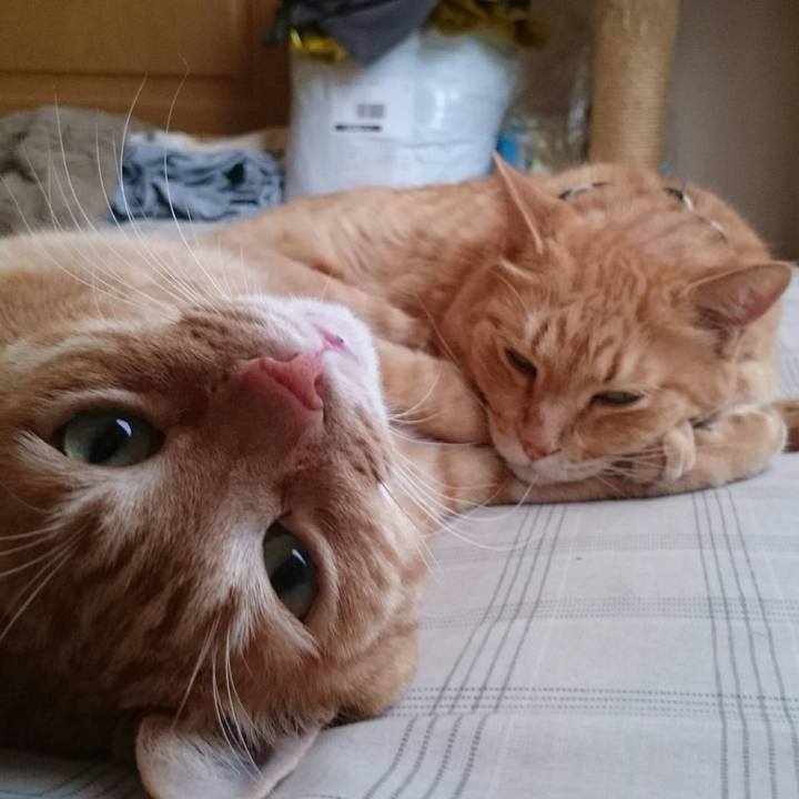 E204524c cd0b 4e53 8a26 15df26345f8e 1538465835199