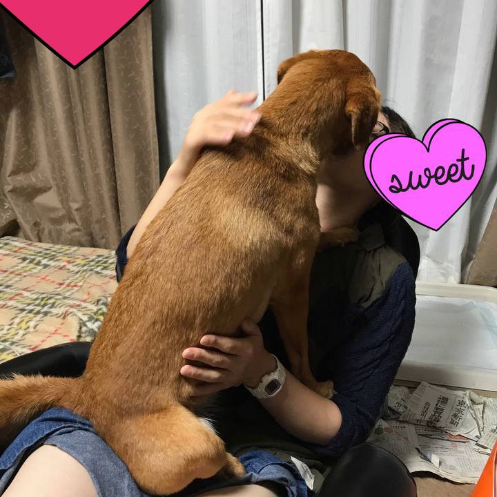 E20460bc 2ac4 4611 a209 64d7d60be56d 1510751960713