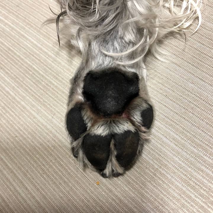 E2047865 b8dc 4b8d 8a20 446b02df53df 1628461121283