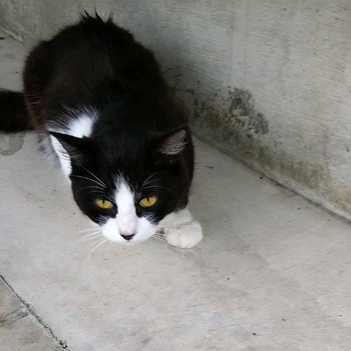 E20492d4 34dd 485a 8222 cd16e1cbeced 1594682680987