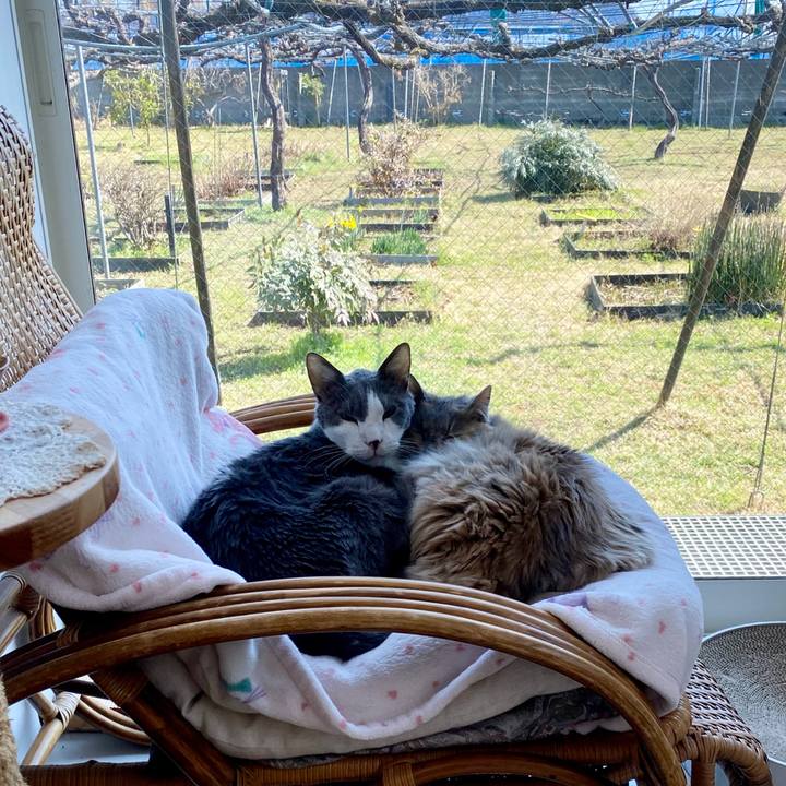 E204a6e8 f285 4156 9db6 8e179239c41c 1775453659453