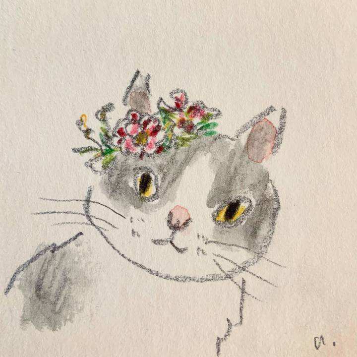 E204bc2d 0061 4945 bebc cc8e19bbe695 1617277566327