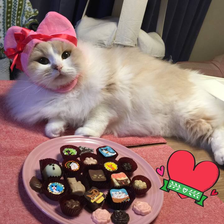 E204c4de b988 4135 982f 0003f3172ef7 1550114903965