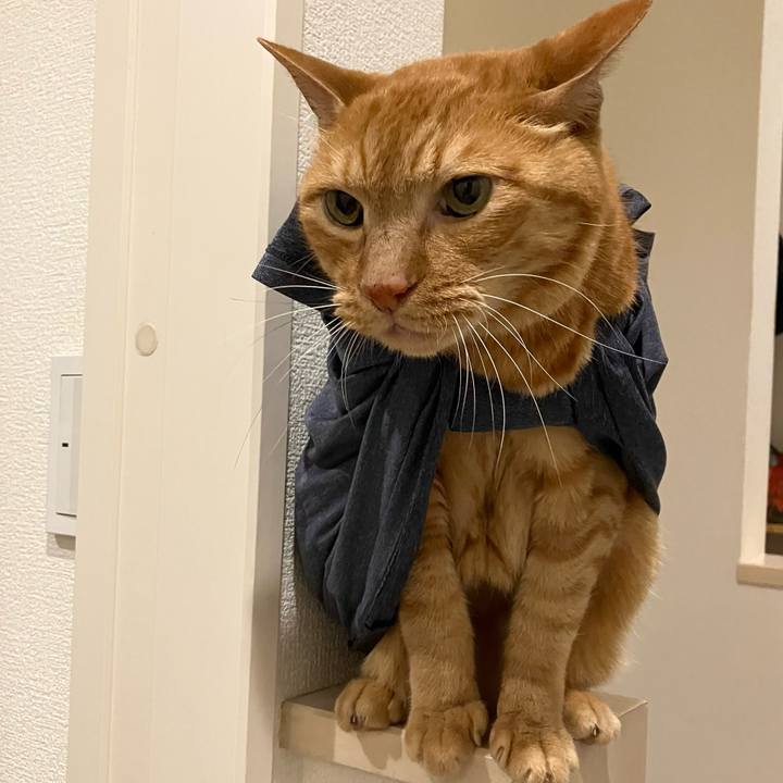 E204c82e d313 4272 b88a 8d50b68d8663 1758614156438