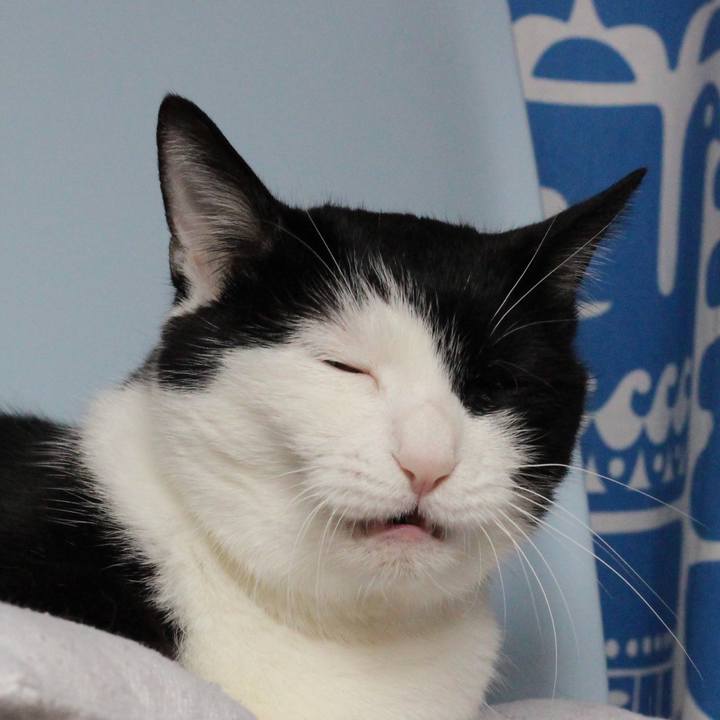 E204dbf2 a5ce 4ec2 9417 382dd4393c48 1685139963060