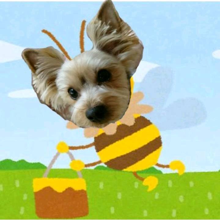 E204dca6 d3ea 45c6 85fc e12a142b0a73 1519433556351