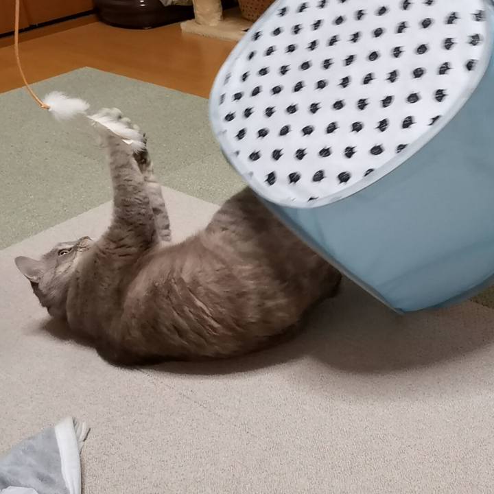 E20507b7 14a2 4347 a923 c5cb0dc65232 1615127336812