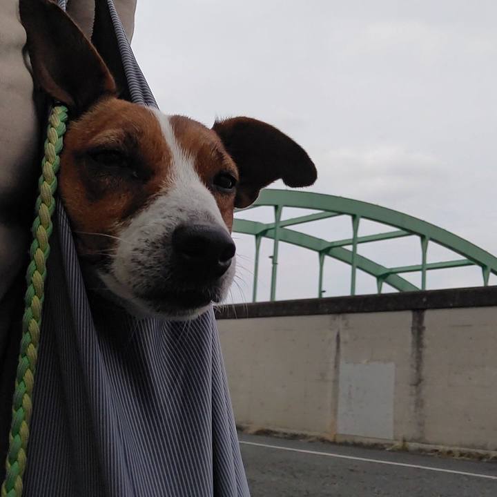 E2051637 3192 4876 bbd9 c92144182259 1620731830121