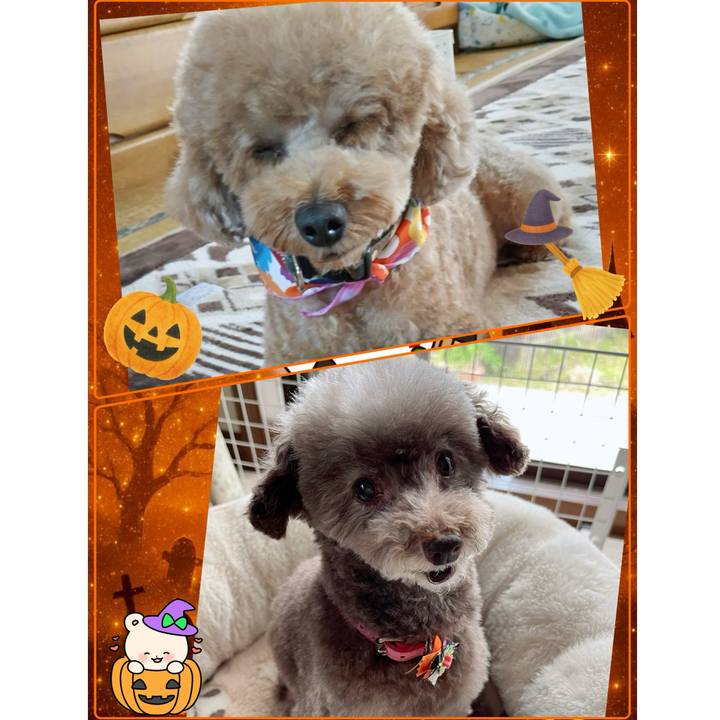 E2052c05 e583 4466 9384 673a481e54d1 1761541943893