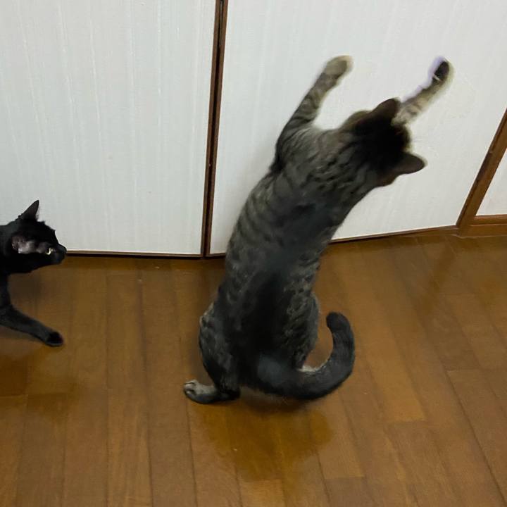 E2057263 1847 4cc0 98a3 505d402f0a52 1682344098462