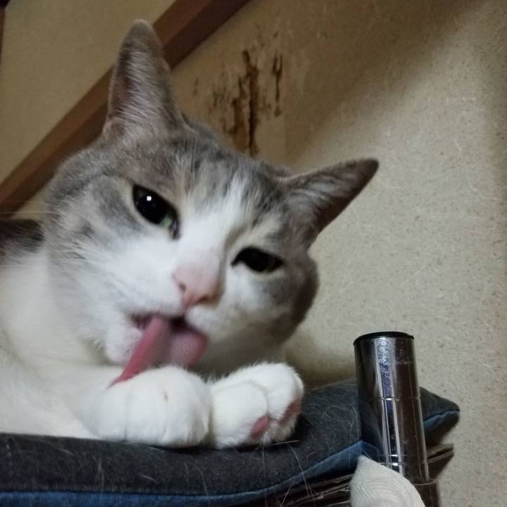 E2057801 f6af 4090 af34 82c597dfc6a9 1618576315616