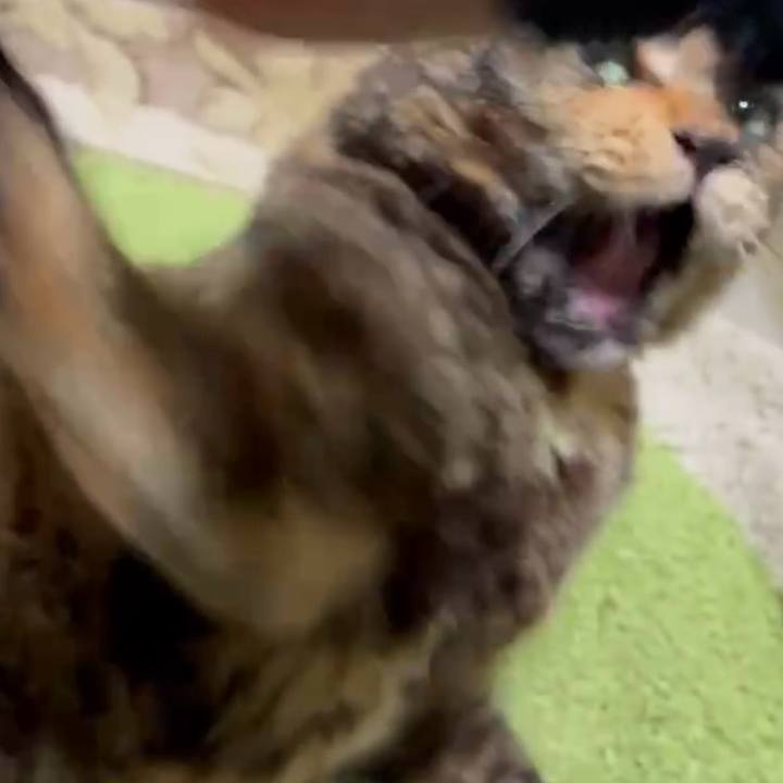 E20581e3 d4e9 4089 9d7c d3fdd16d6083 1773656955442