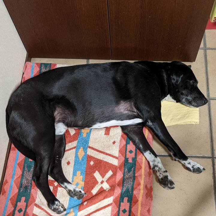 E205a420 9a49 4a64 9258 0304682279df 1653005819780