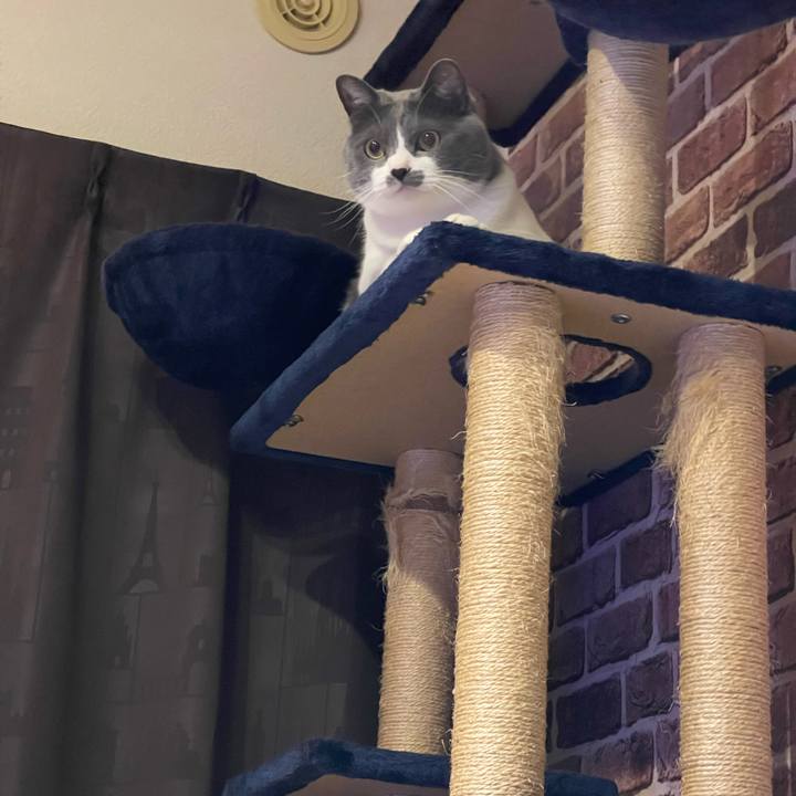 E205b8e3 3646 4a65 8cd6 1e48972d4e0a 1684668142674