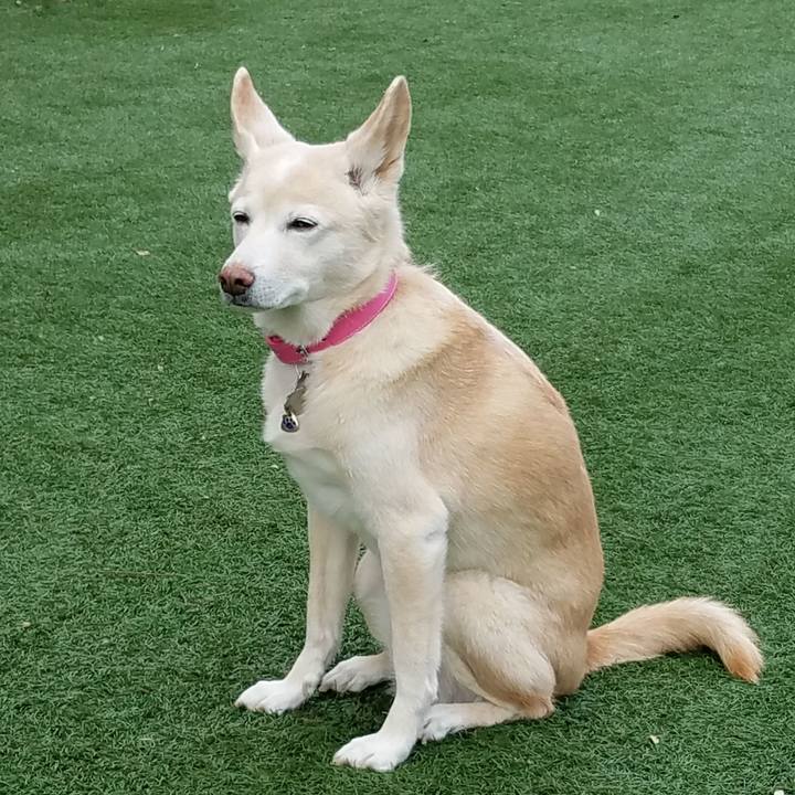 E205c86f 9c04 4ee8 8202 85dc6cd5c966 1552052505581