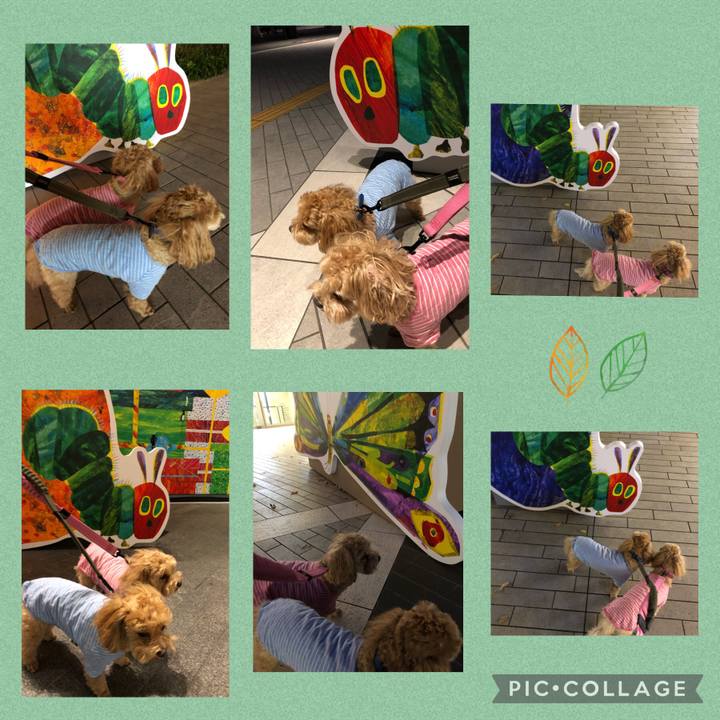 E205cdfe d592 47e3 aa12 08364443600c 1637398253496