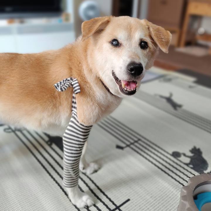 E205d3b0 841d 46a3 a880 1b2dffbffbf2 1661552411488