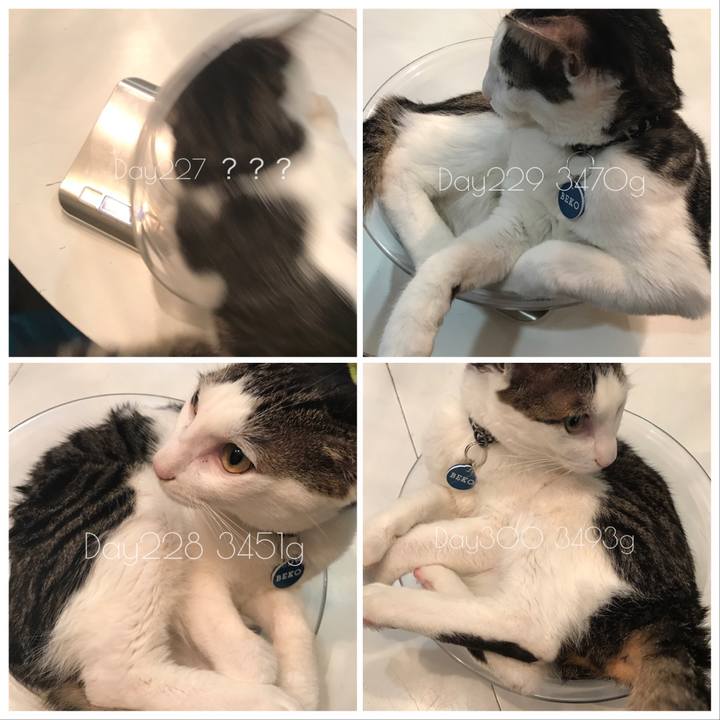 E205e3d3 a4cb 41ce b989 04578f7ade0d 1515051335445