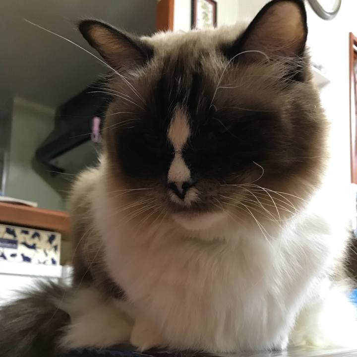 E206474a be8b 4ec8 855f aa26b2b6b181 1510842901817