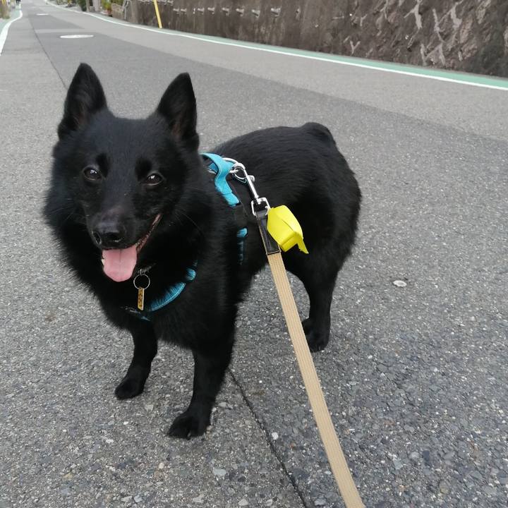 E2066314 89e9 4fb2 bf6d 1f6325b29792 1660253940913