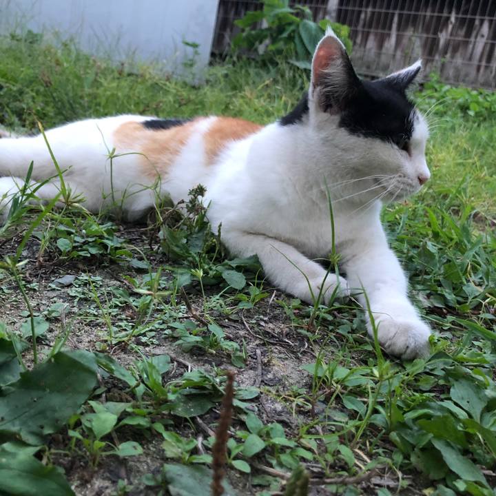 E20675e7 510d 4599 9e4c 55f2bd87eda0 1598350787340