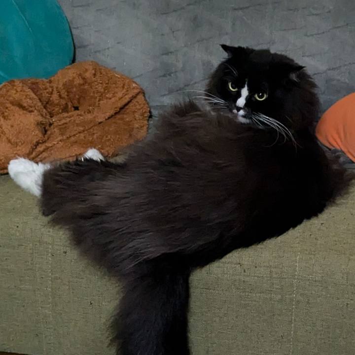 E20677be 21eb 444c a69b 1e75a1805388 1728081049718