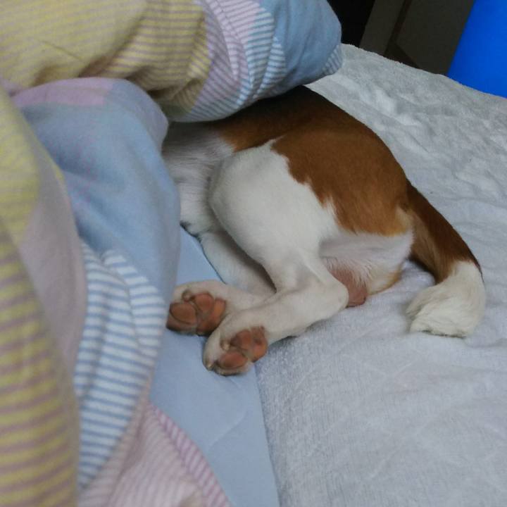 E206a12d 6146 4bee 84c9 34e38fd374cf 1602114709047