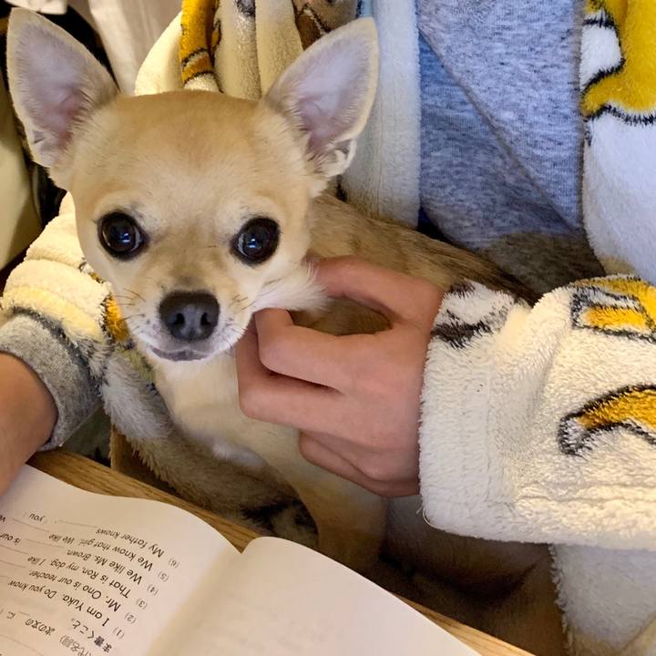 E206af2d cc67 4f87 87f8 c61477e2f202 1579923054305