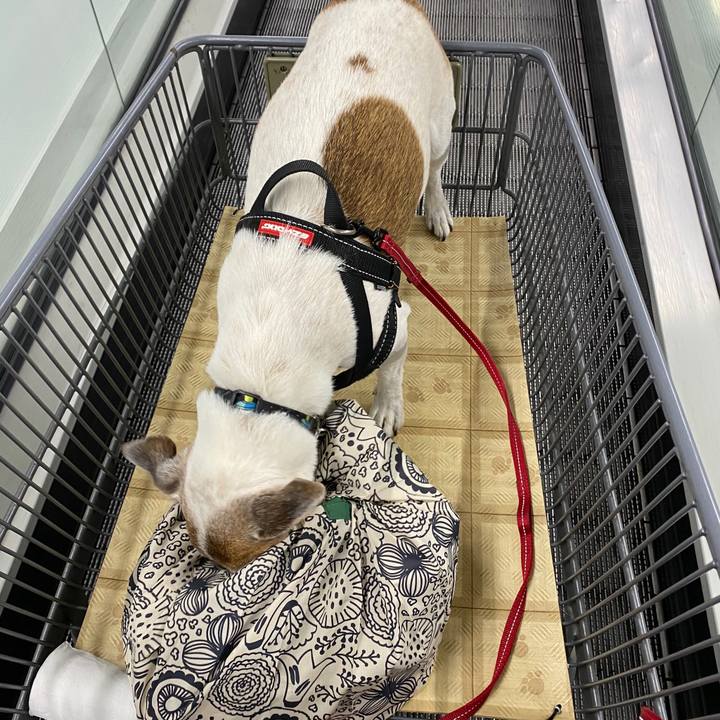 E2070536 37a1 4108 a165 6f0e3c64f840 1601203150823